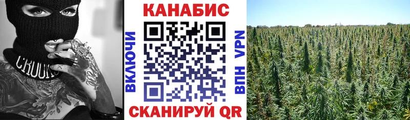 Купить закладку Конопля  Меф мяу мяу  Нолинск