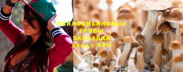 apvp Кинешма