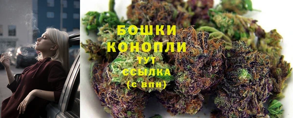 apvp Кинешма