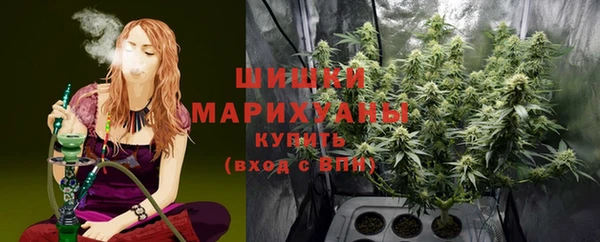 apvp Кинешма