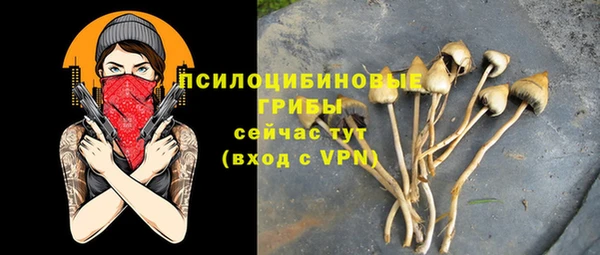 apvp Кинешма